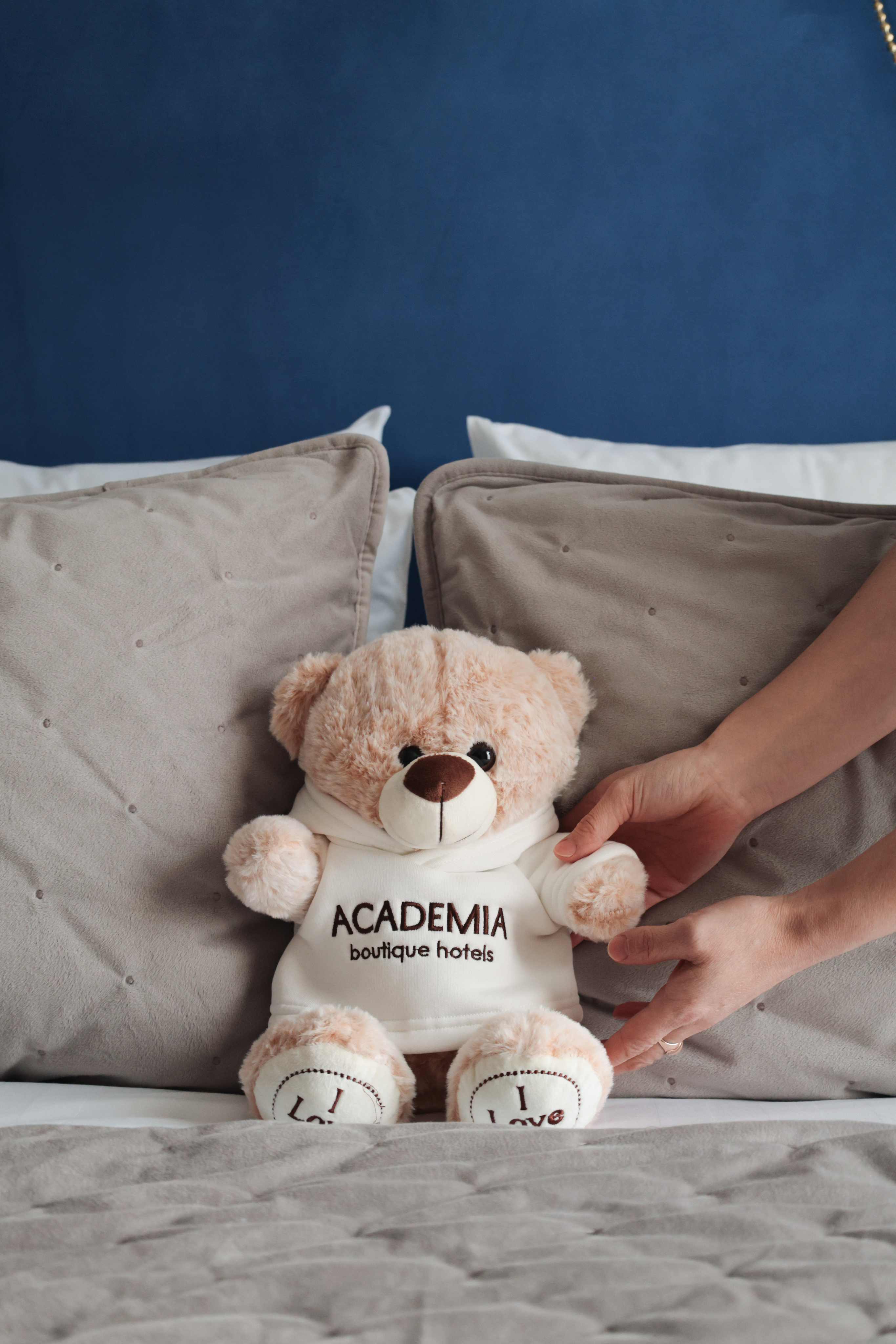 Академишка