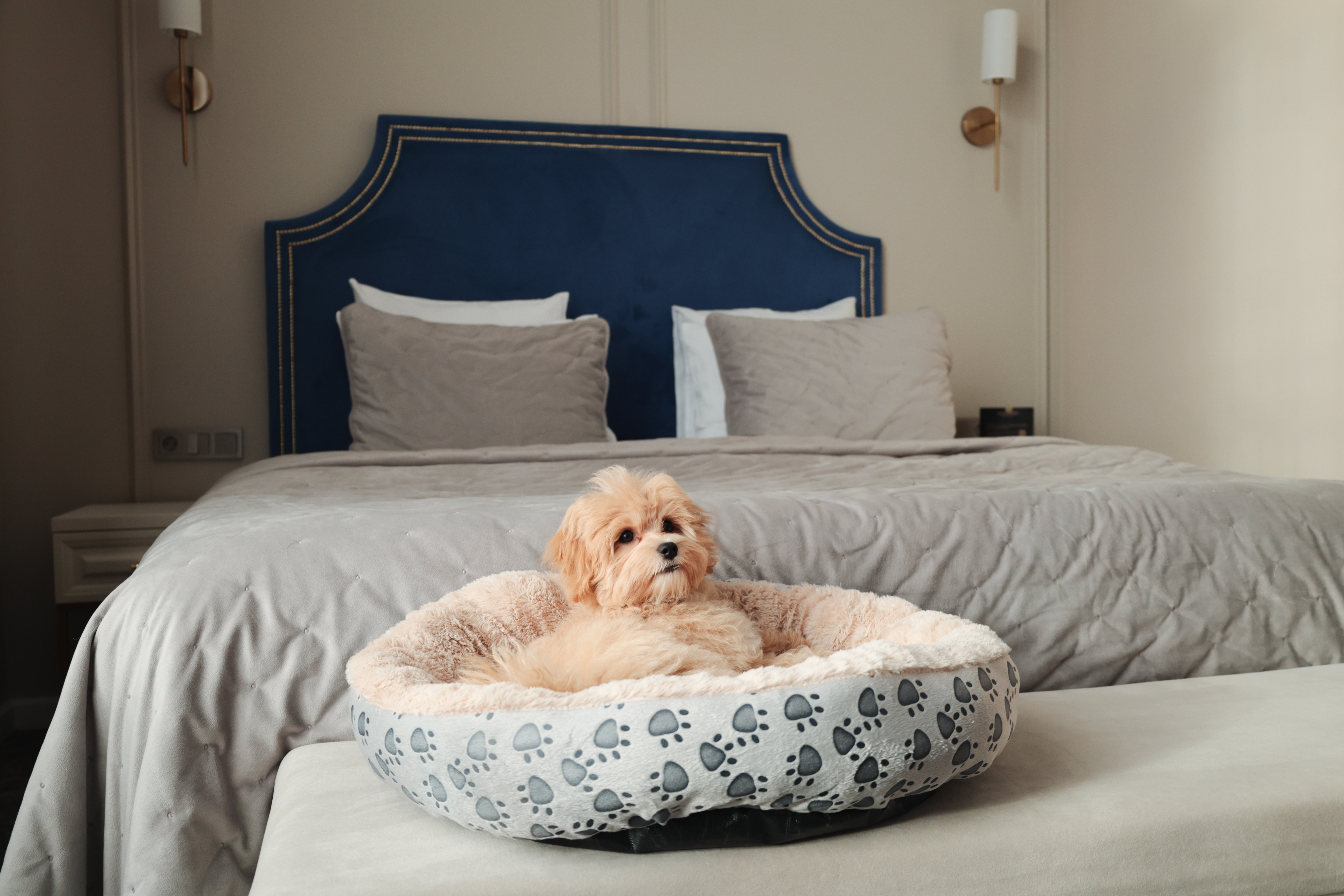 Проживание с животными