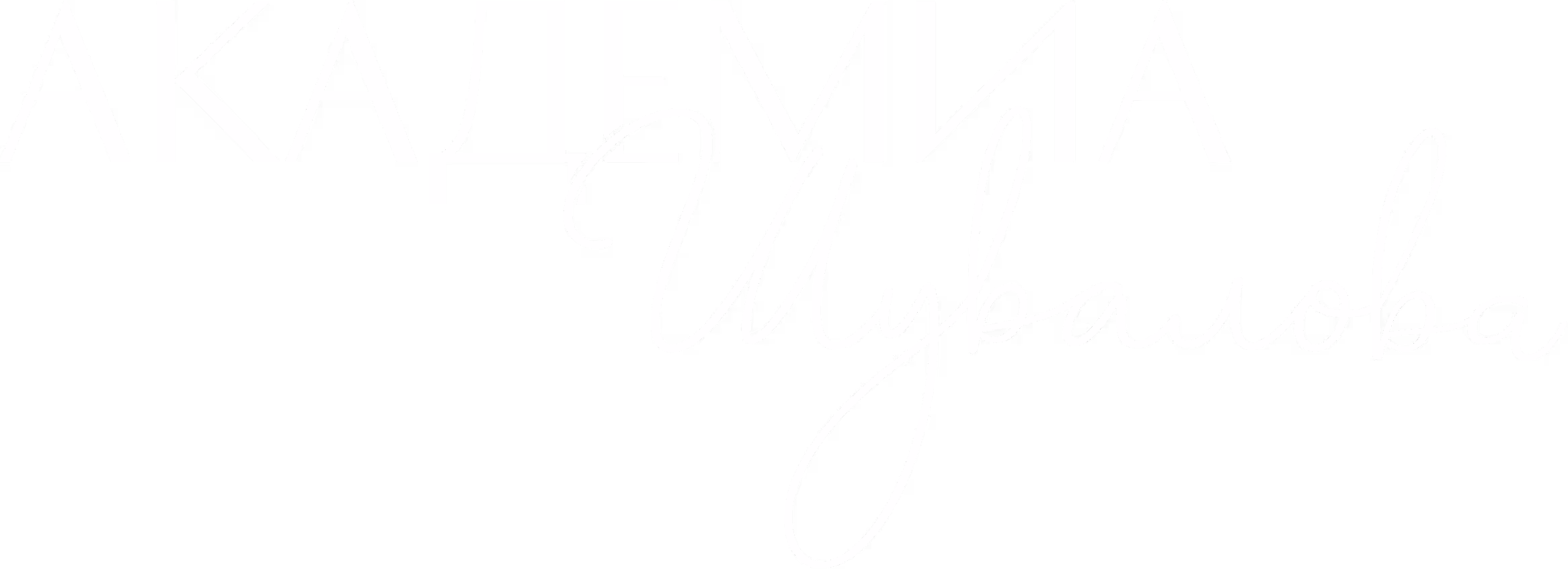 Бар-ресторан ACADEMIA Шувалова